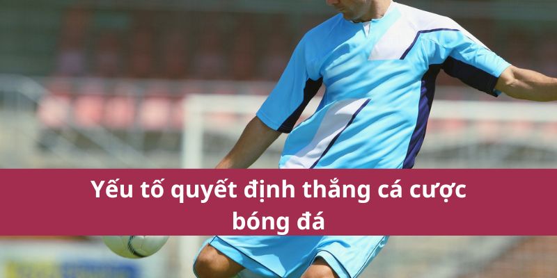 Hướng Dẫn Cá Cược Bóng Đá Chi Tiết Và Chính Xác Nhất 2025 3