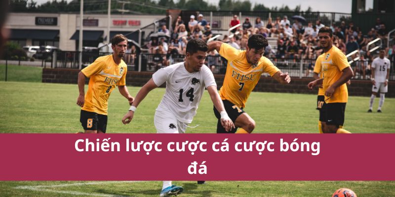 Hướng Dẫn Cá Cược Bóng Đá Chi Tiết Và Chính Xác Nhất 2025 4